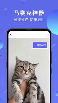 一键去水印相机